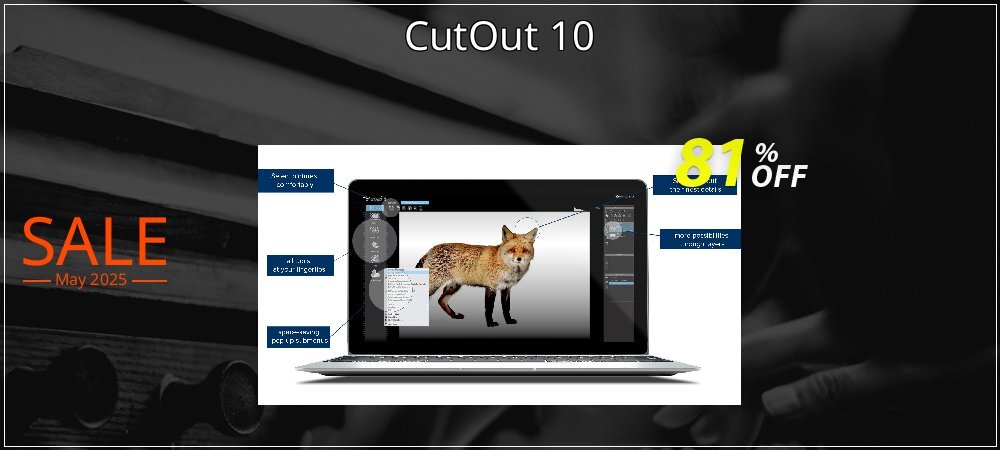 CutOut 10 coupon on National Memo Day offer
