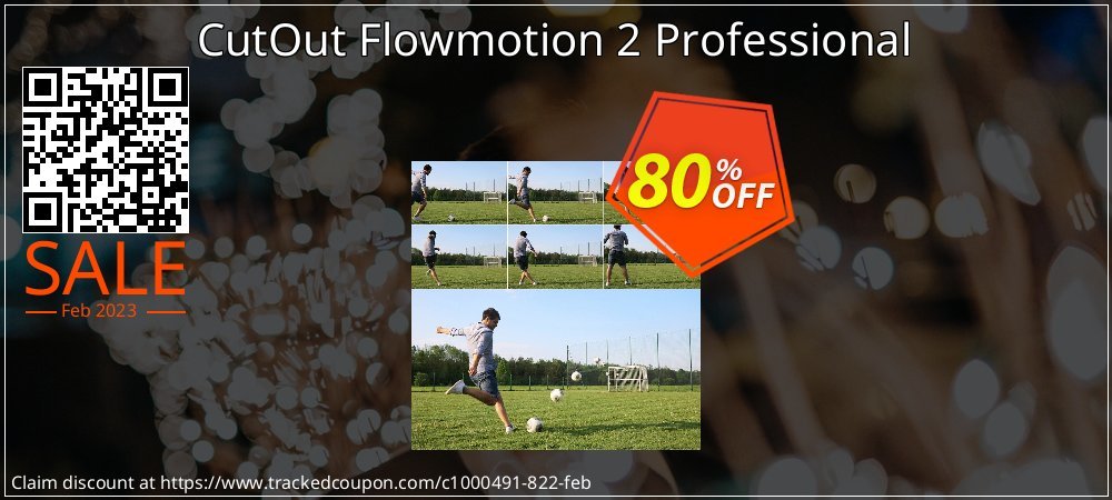 CutOut Flowmotion 2 Professional coupon on Working Day discount