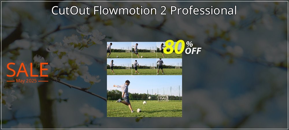 CutOut Flowmotion 2 Professional coupon on National Memo Day discount