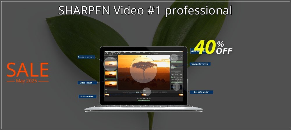 SHARPEN Video #1 professional coupon on National Smile Day sales