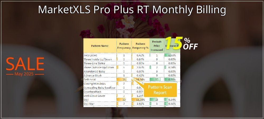 MarketXLS Pro Plus RT Monthly Billing coupon on Working Day deals