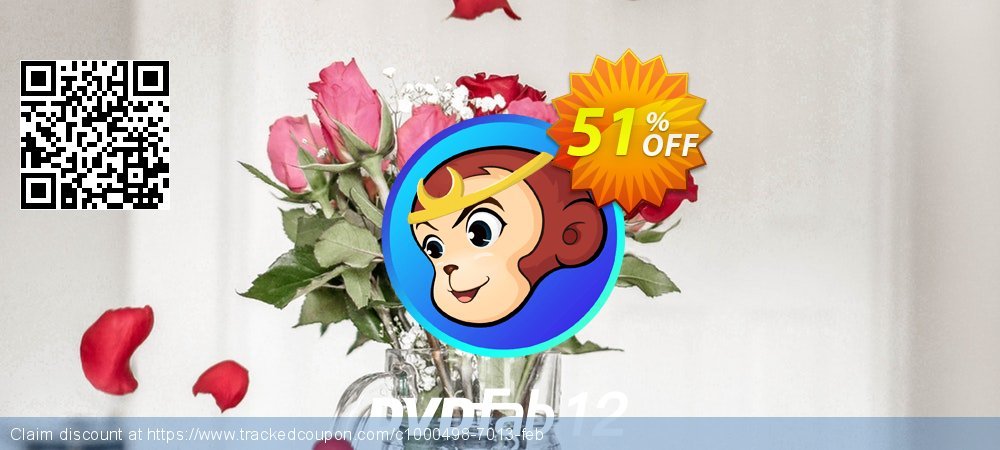 DVDFab DVD Ripper - 1 year License  coupon on Constitution Memorial Day sales