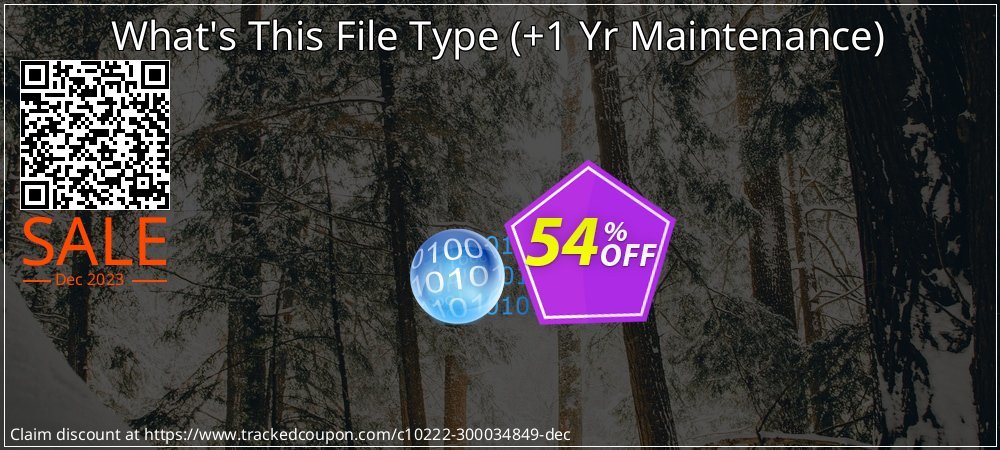 What's This File Type - +1 Yr Maintenance  coupon on Tell a Lie Day offering discount
