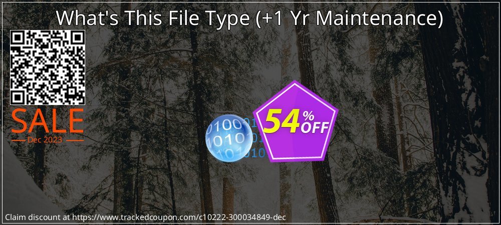 What's This File Type - +1 Yr Maintenance  coupon on World Password Day offering sales