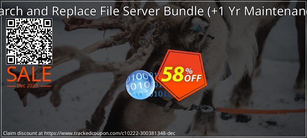 Search and Replace File Server Bundle - +1 Yr Maintenance  coupon on Constitution Memorial Day offering discount