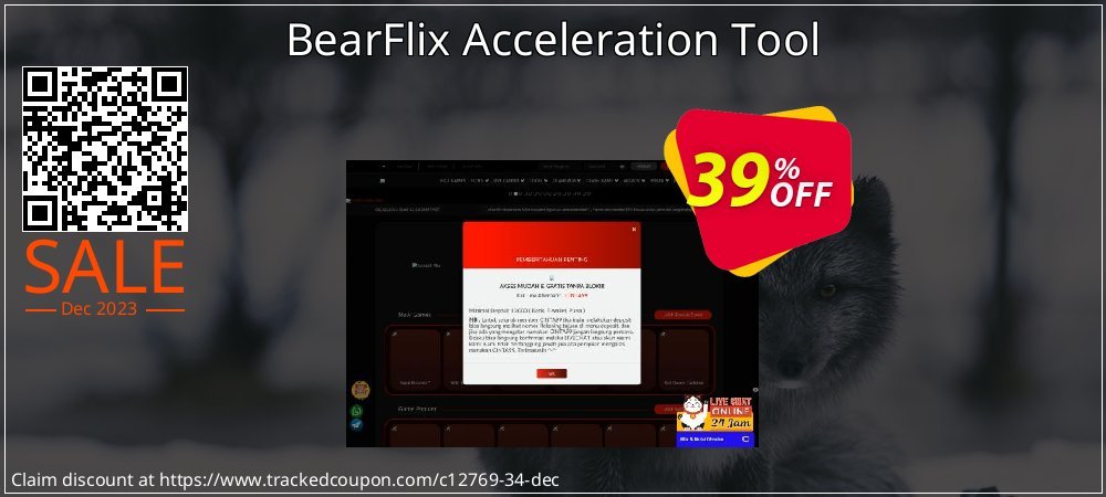 BearFlix Acceleration Tool coupon on Boxing Day super sale