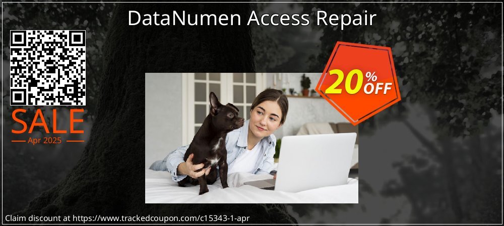 DataNumen Access Repair coupon on National Loyalty Day offer