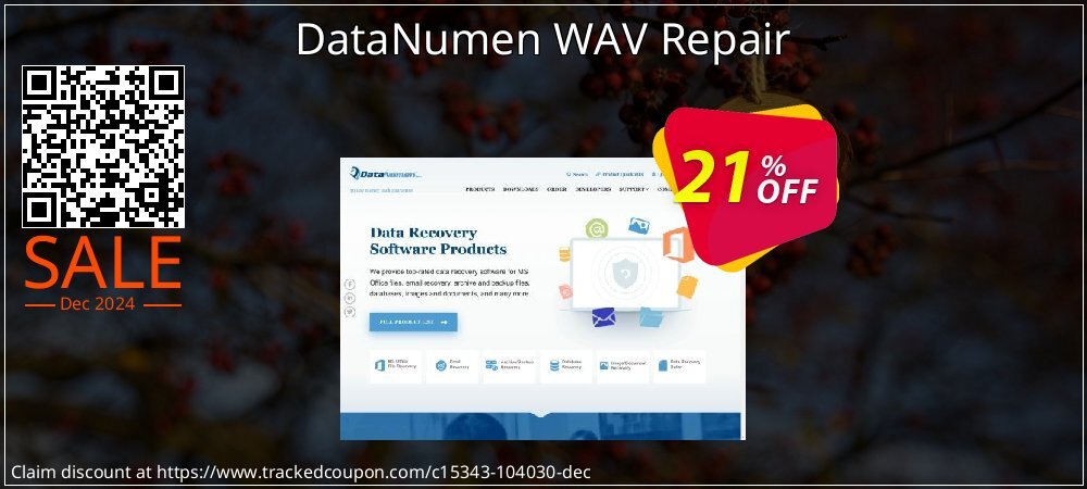 DataNumen WAV Repair coupon on National Walking Day promotions