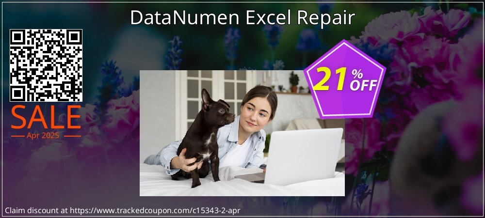 DataNumen Excel Repair coupon on Working Day discount