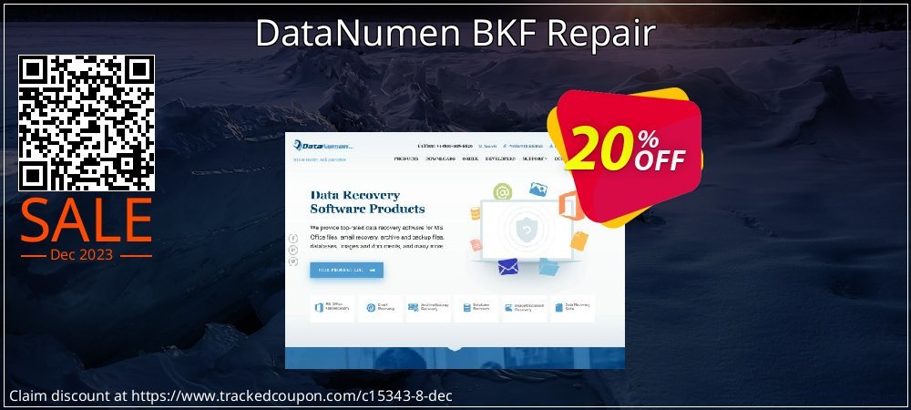 DataNumen BKF Repair coupon on Boxing Day discounts