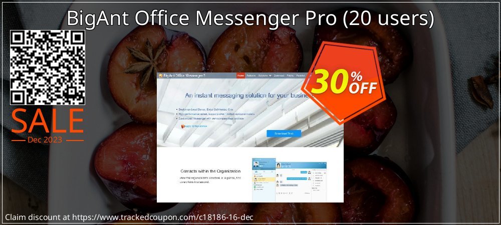 BigAnt Office Messenger Pro - 20 users  coupon on World Party Day super sale