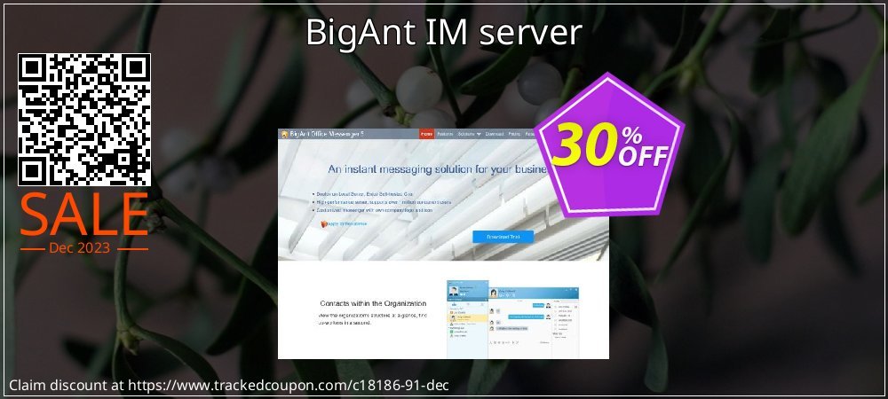 BigAnt IM server coupon on World Party Day sales