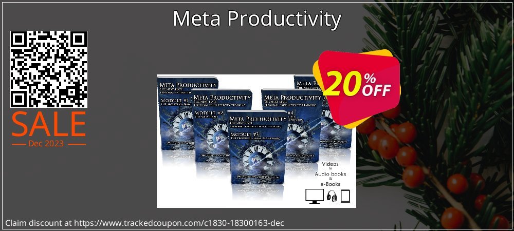 Meta Productivity coupon on Virtual Vacation Day promotions