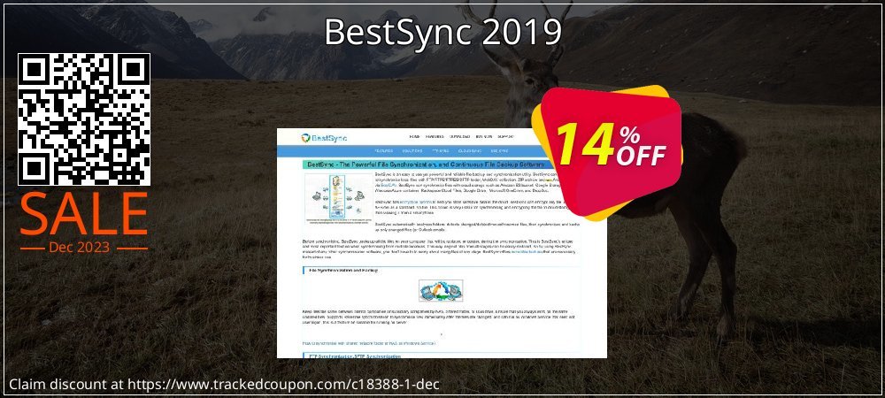 BestSync 2019 coupon on World Party Day offering discount