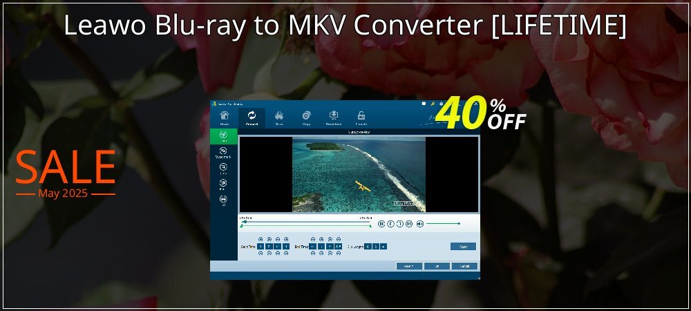 Leawo Blu-ray to MKV Converter  - LIFETIME  coupon on Mother Day deals