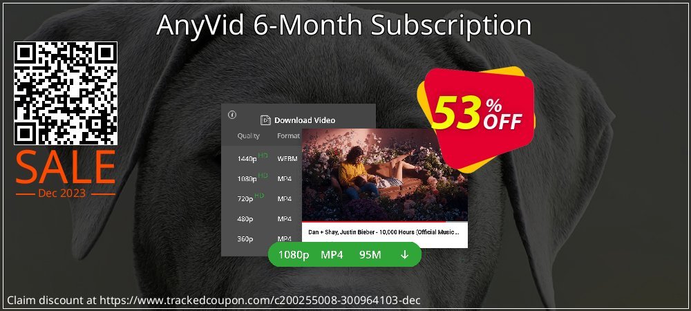 AnyVid 6-Month Subscription coupon on Hug Holiday discounts