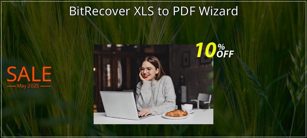 BitRecover XLS to PDF Wizard coupon on Graduation 2025 promotions