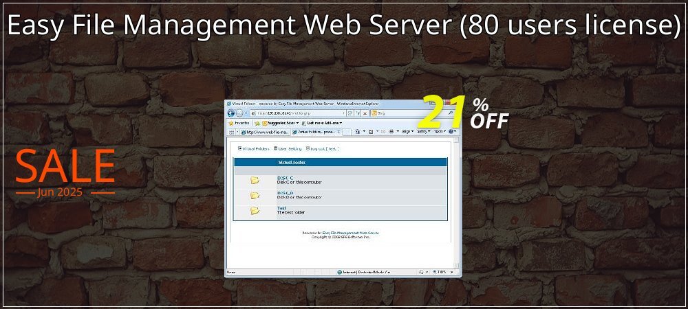 Easy File Management Web Server - 80 users license  coupon on Summer super sale