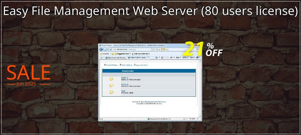 Easy File Management Web Server - 80 users license  coupon on Tell a Lie Day discount