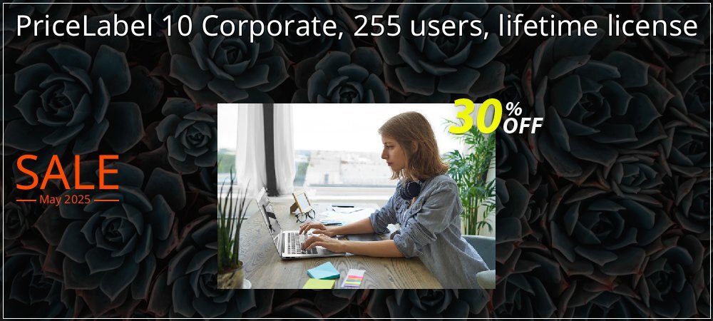 PriceLabel 10 Corporate, 255 users, lifetime license coupon on National Memo Day offer