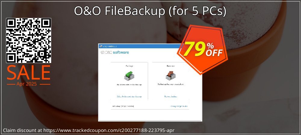 O&O FileBackup - for 5 PCs  coupon on National Walking Day offer