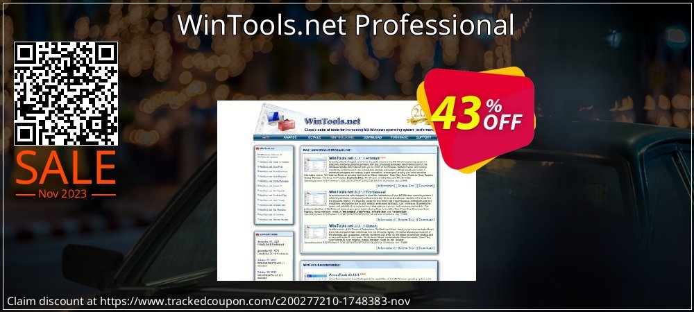 WinTools.net Professional coupon on Virtual Vacation Day offer