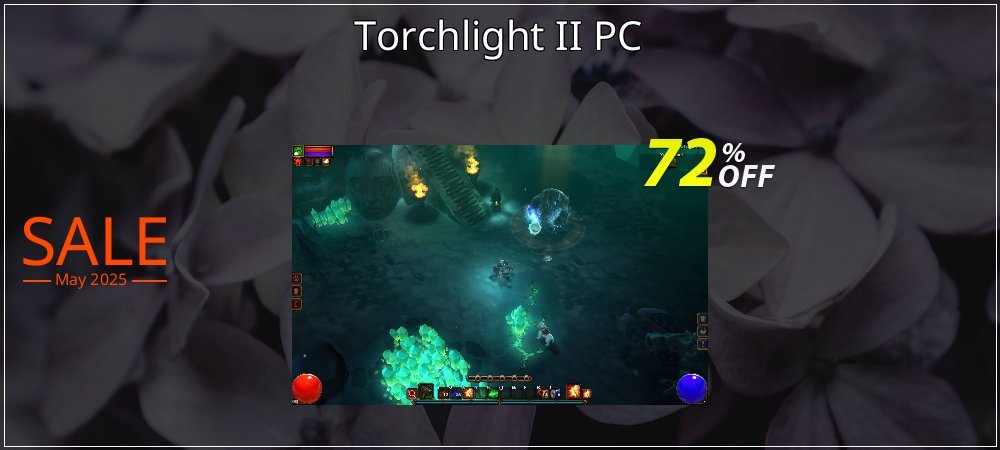 Torchlight II PC coupon on National Memo Day offer