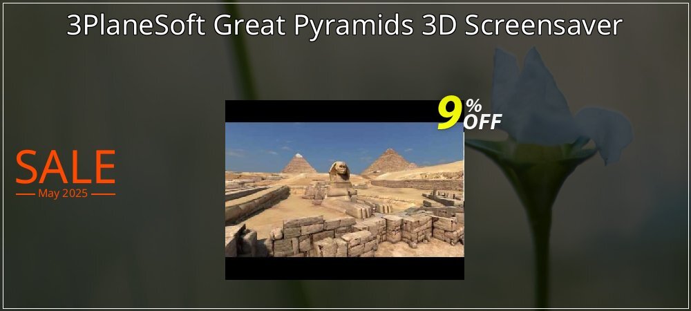 3PlaneSoft Great Pyramids 3D Screensaver coupon on World Password Day promotions