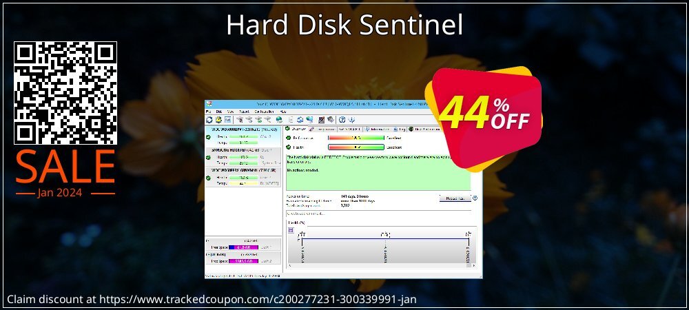 Hard Disk Sentinel coupon on End year promotions