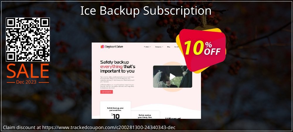 Ice Backup Subscription coupon on Virtual Vacation Day offering discount