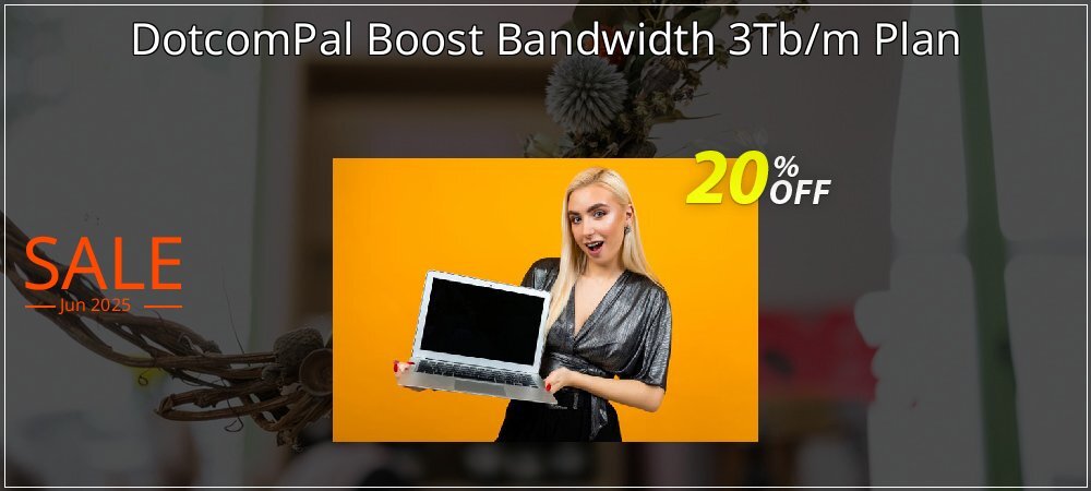 DotcomPal Boost Bandwidth 3Tb/m Plan coupon on Tattoo Day offer