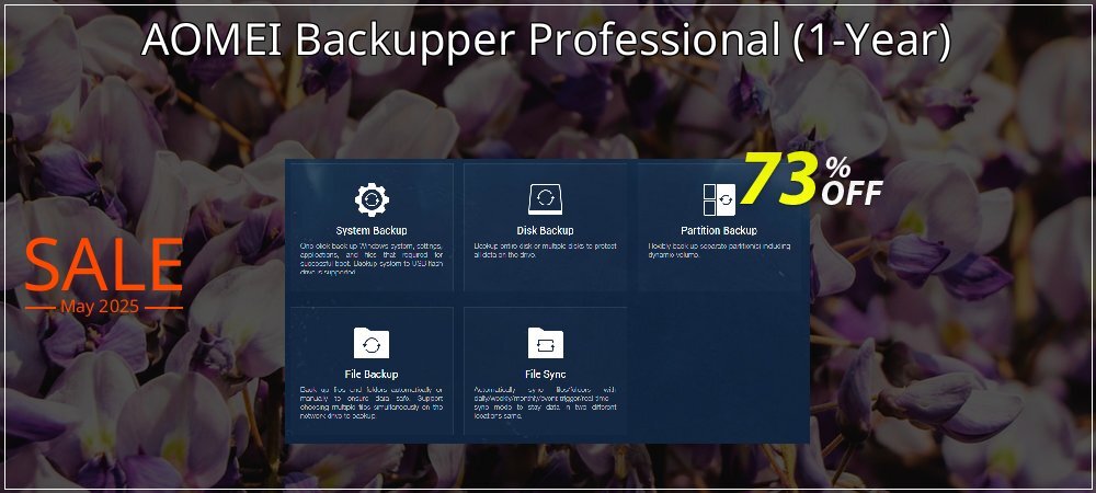 AOMEI Backupper Professional - 1-Year  coupon on Working Day deals