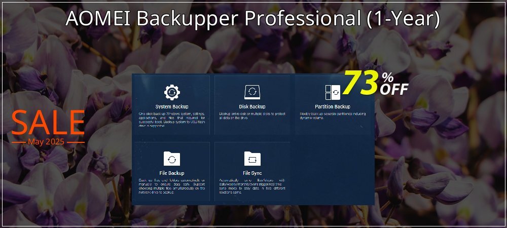 AOMEI Backupper Professional - 1-Year  coupon on April Fools' Day sales