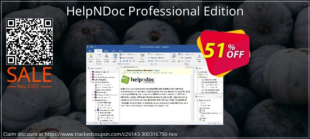 HelpNDoc Professional Edition coupon on National Walking Day discounts