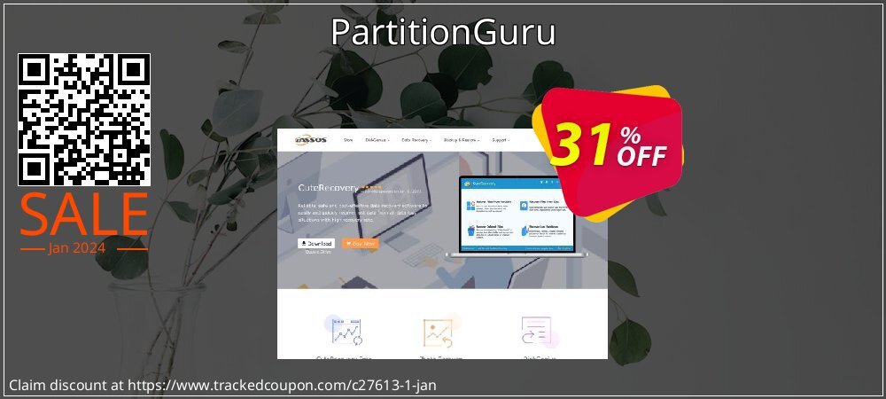PartitionGuru coupon on Valentine's Day offer