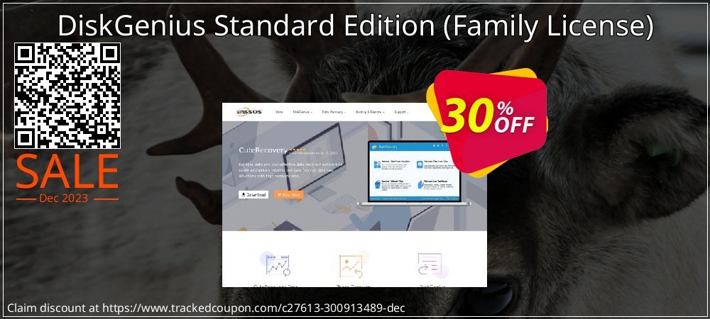 DiskGenius Standard Edition - Family License  coupon on National Smile Day offering sales