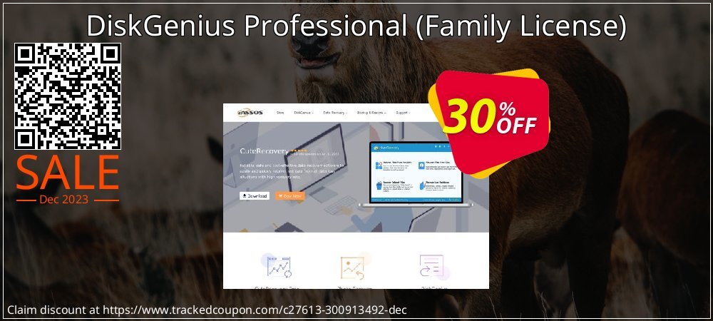 DiskGenius Professional - Family License  coupon on National Memo Day promotions