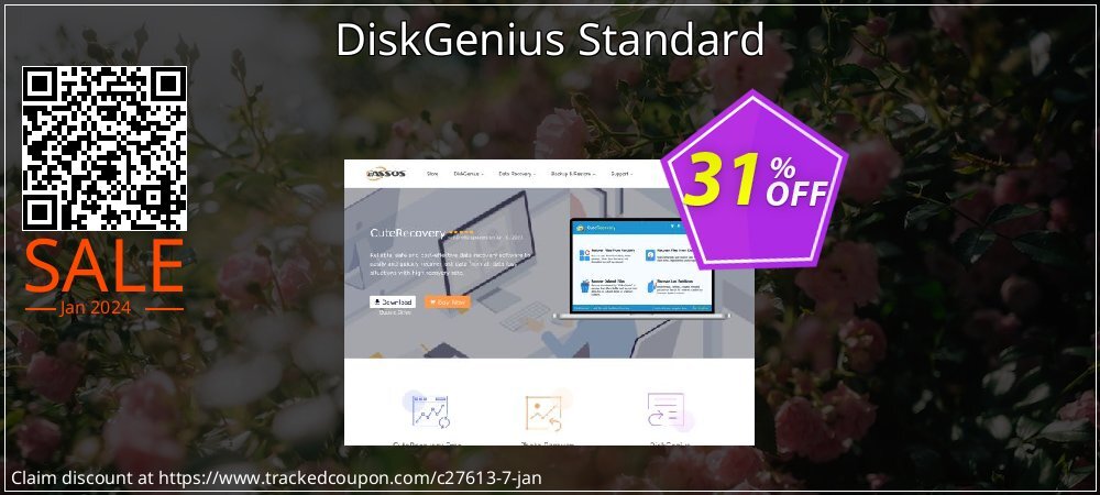DiskGenius Standard coupon on 	National Kissing Day discount