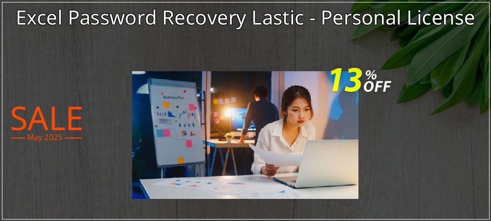 Excel Password Recovery Lastic - Personal License coupon on Easter Day offering sales