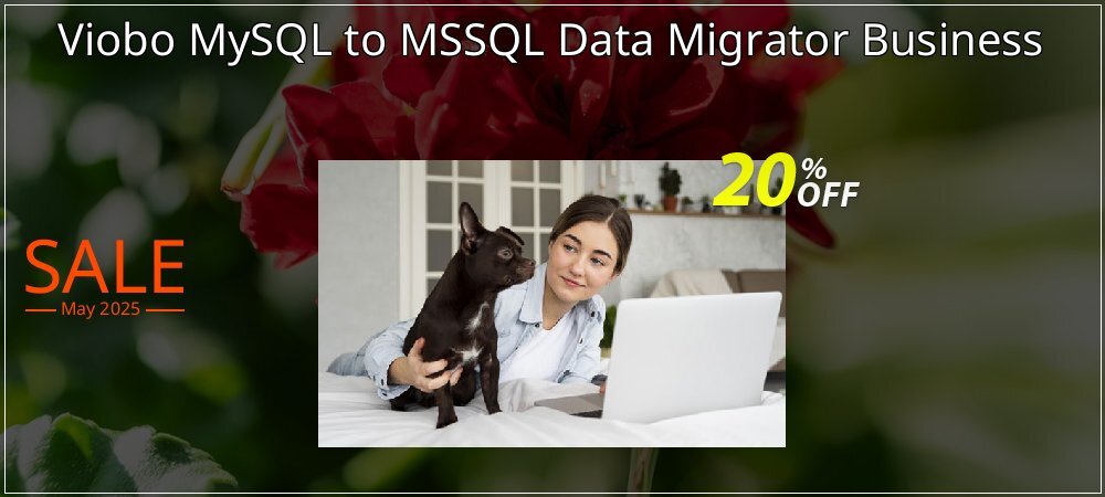 Viobo MySQL to MSSQL Data Migrator Business coupon on National Memo Day super sale