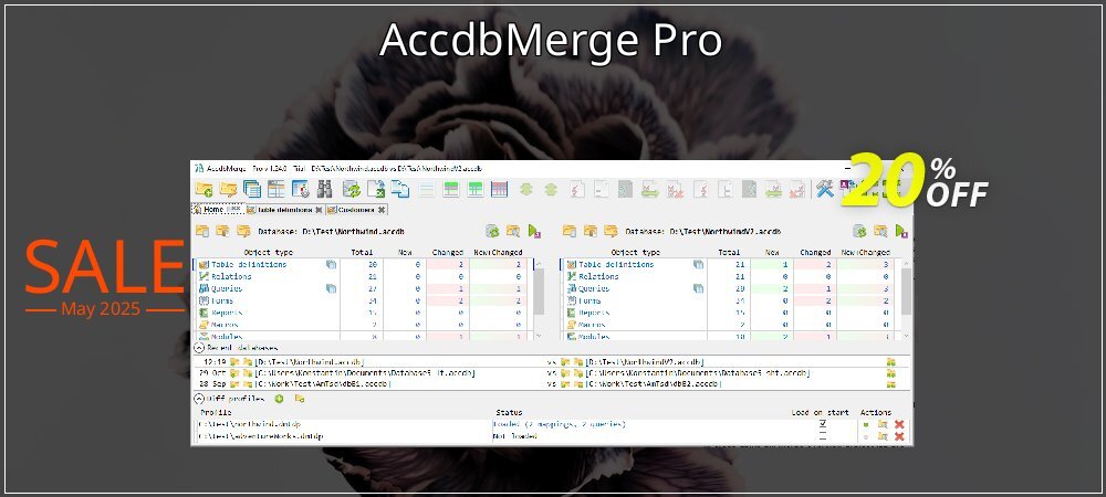 AccdbMerge Pro coupon on National Smile Day sales