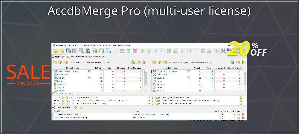 AccdbMerge Pro - multi-user license  coupon on National Pizza Party Day offer