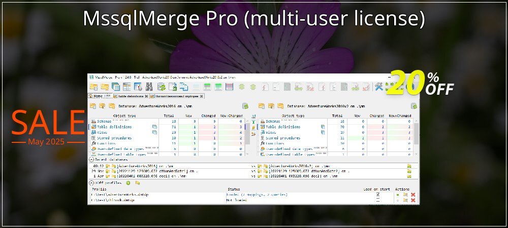 MssqlMerge Pro - multi-user license  coupon on Working Day discount