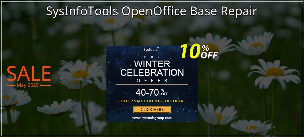 SysInfoTools OpenOffice Base Repair coupon on Working Day discounts