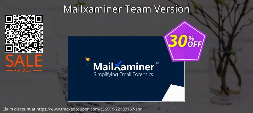 Mailxaminer Team Version coupon on Working Day discounts