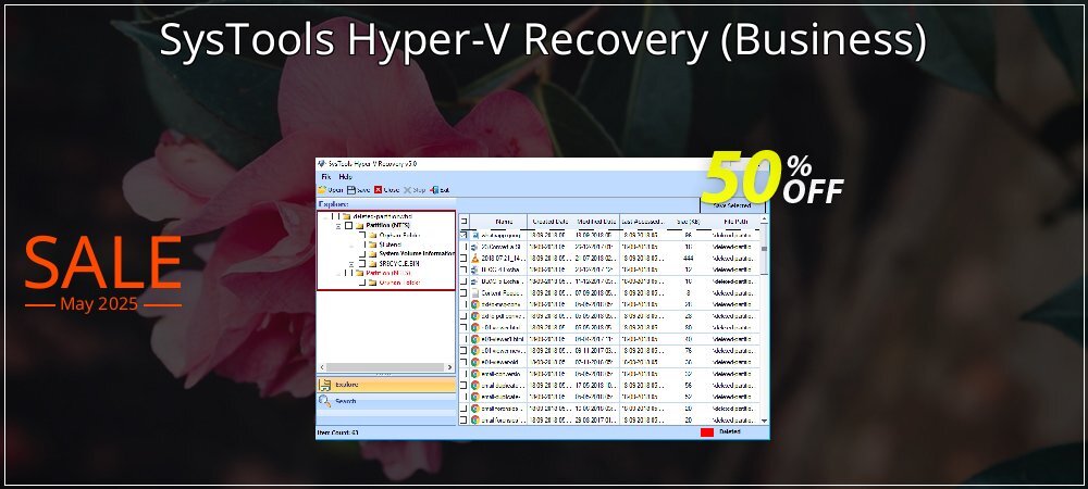 SysTools Hyper-V Recovery - Business  coupon on World Whisky Day offer