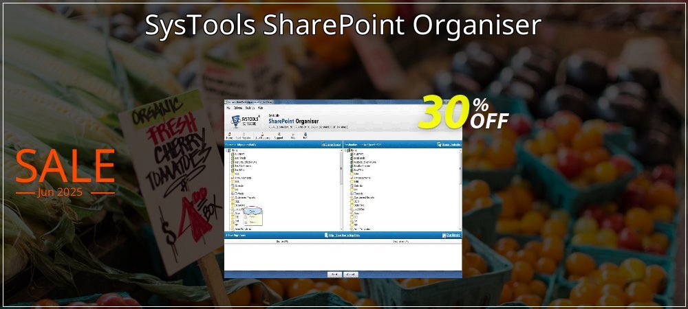 SysTools SharePoint Organiser coupon on National Walking Day promotions