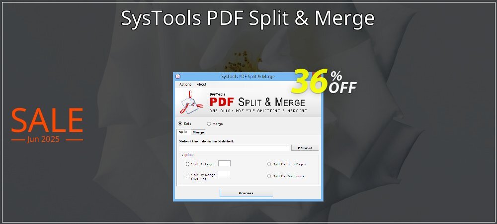 SysTools PDF Split & Merge coupon on Camera Day offering sales