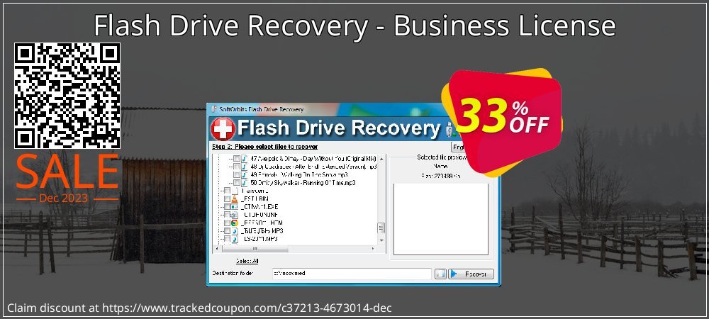 Flash Drive Recovery - Business License coupon on National Smile Day promotions