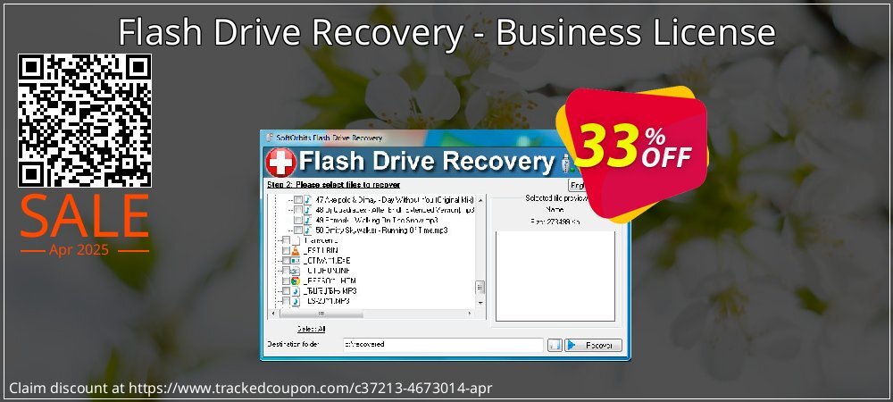 Flash Drive Recovery - Business License coupon on World Password Day promotions